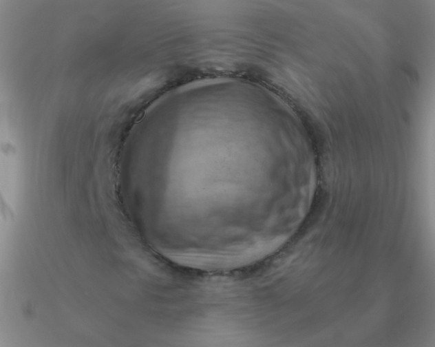 X0000090631297200708071237