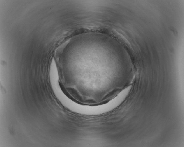 X0000090631298200708071237