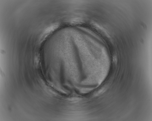 X0000090631300200708071237