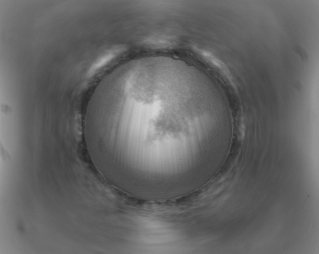 X0000090631301200708071237