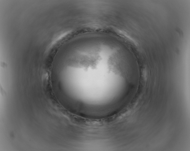 X0000090631302200708071237