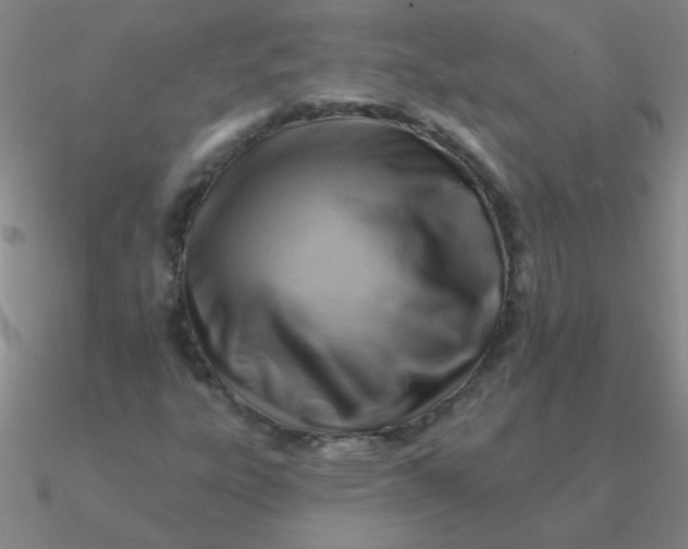 X0000090631303200708071237