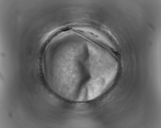 X0000090631304200708071237