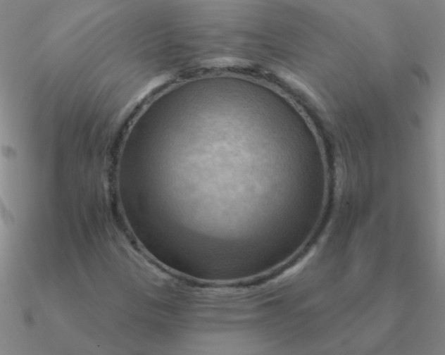 X0000090631305200708071237