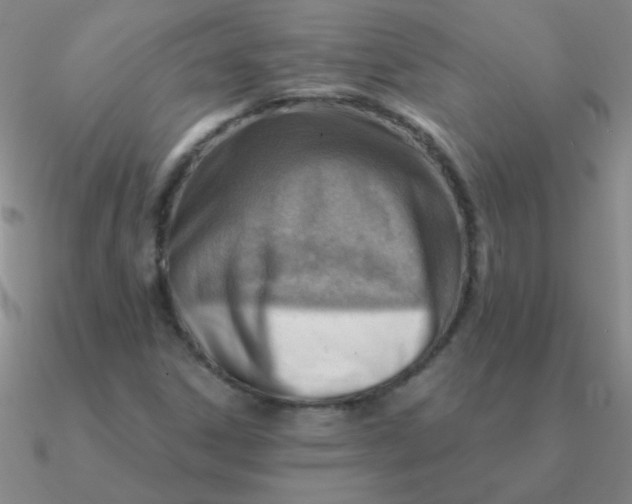 X0000090631306200708071237