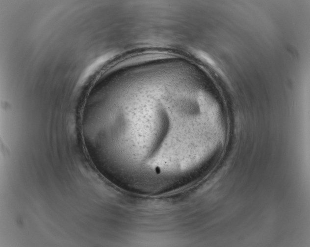 X0000090631307200708071237