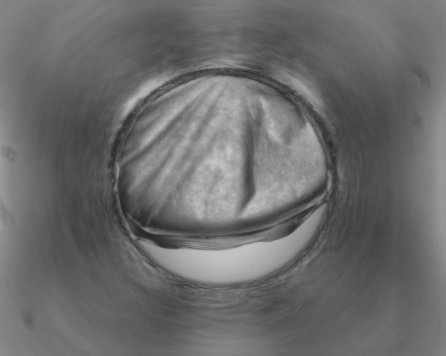 X0000090631308200708071237