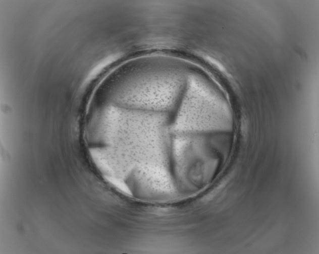 X0000090631309200708071237