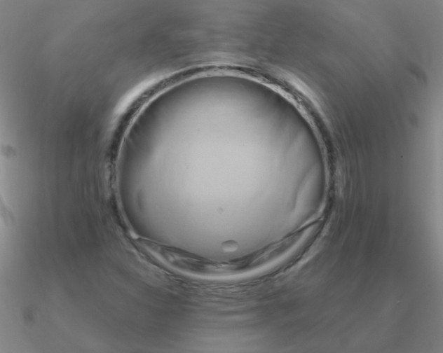 X0000090631310200708071237