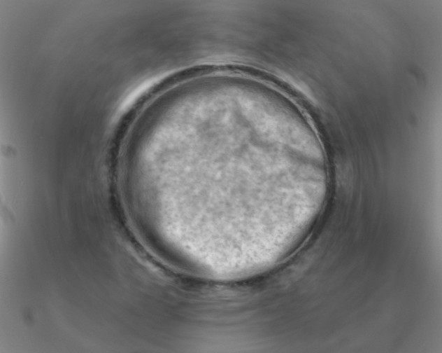 X0000090631311200708071237