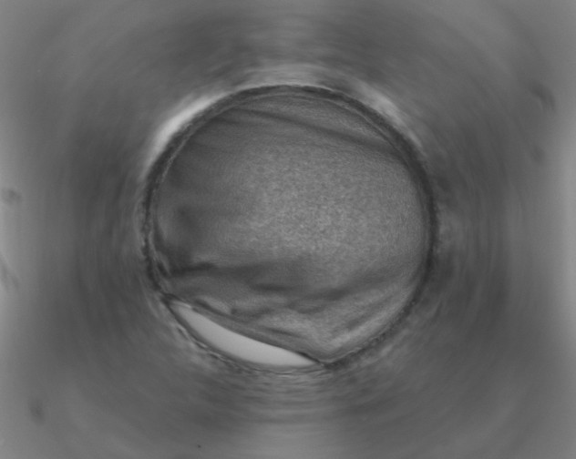 X0000090631312200708071237