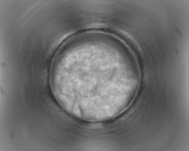 X0000090631313200708071237