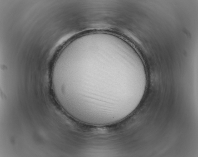 X0000090631315200708071237