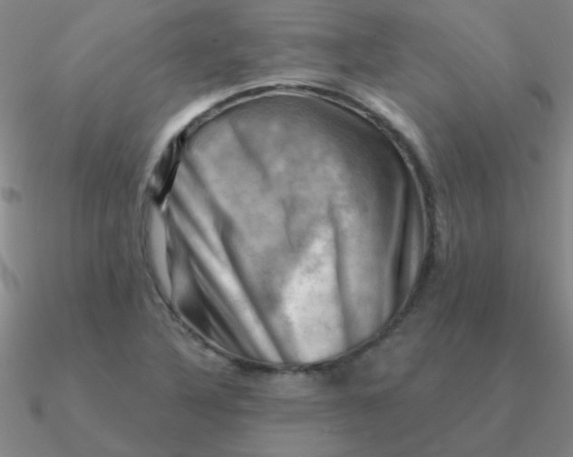 X0000090631316200708071237