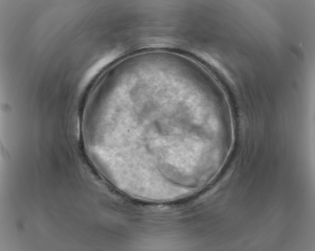 X0000090631317200708071237