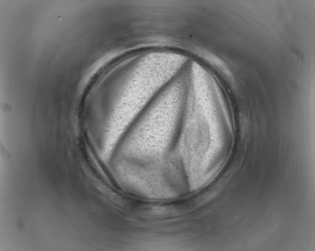 X0000090631318200708071238