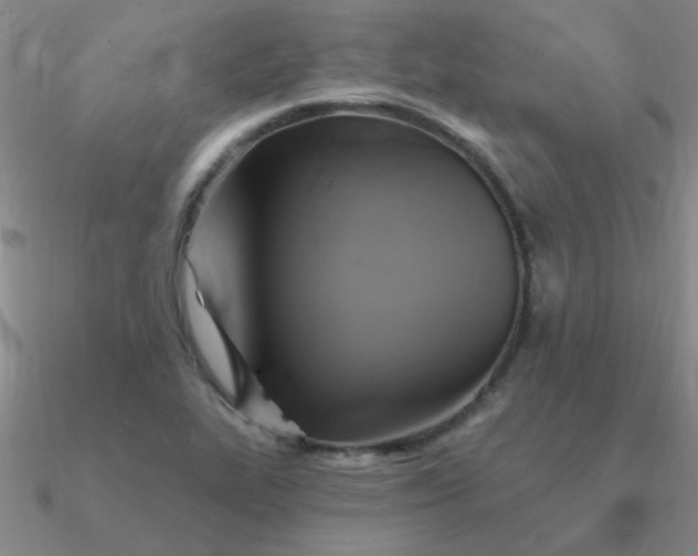 X0000090631319200708071238