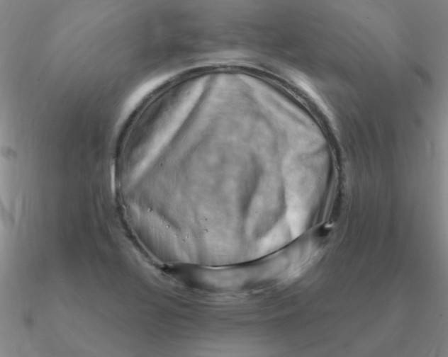 X0000090631320200708071238