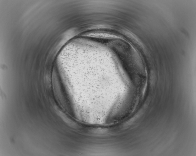 X0000090631321200708071238