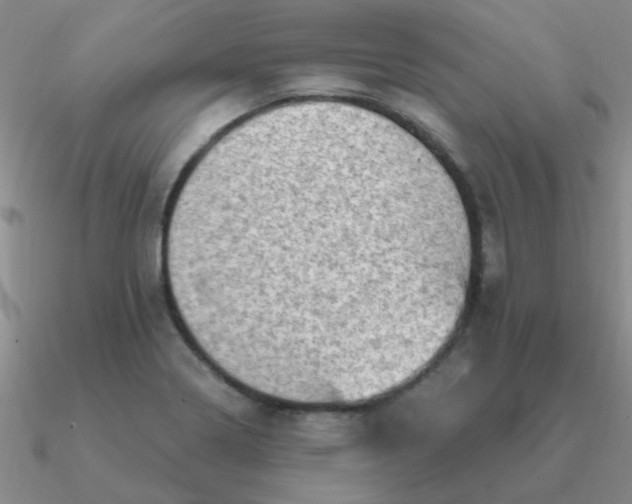 X0000090631322200708071238