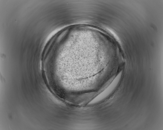 X0000090631324200708071238