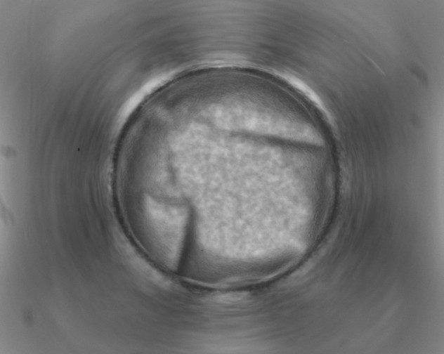 X0000090631325200708071238