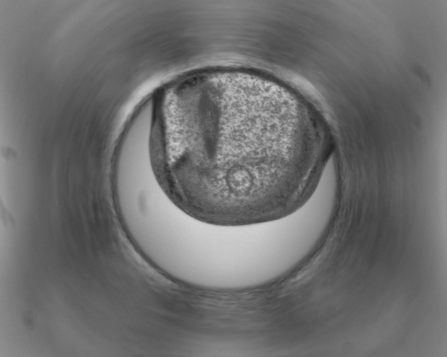 X0000090631326200708071238