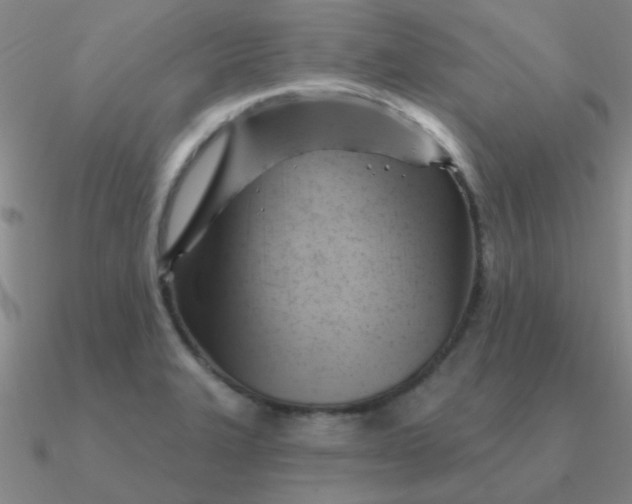 X0000090631327200708071238