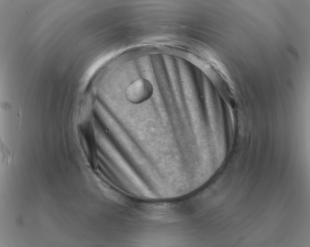 X0000090631328200708071238