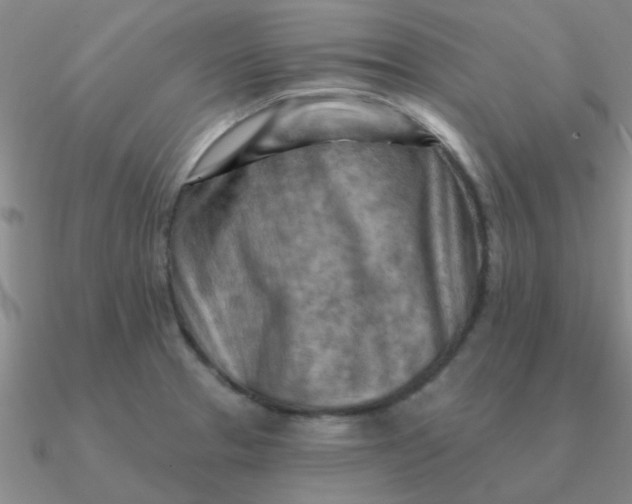 X0000090631329200708071238