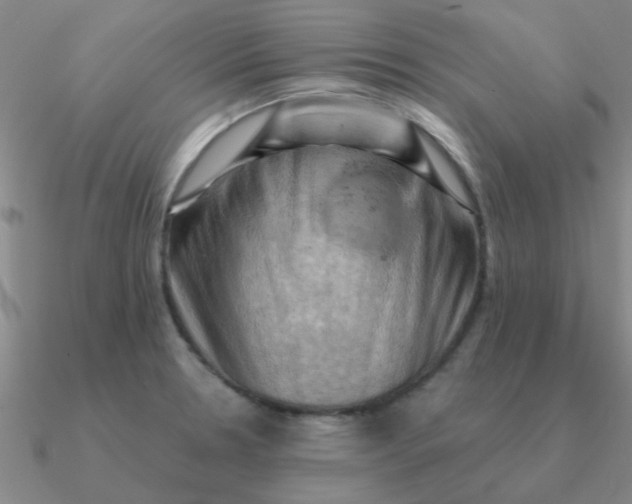 X0000090631330200708071238