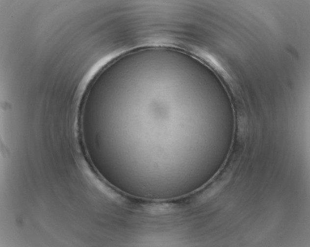 X0000090631331200708071238