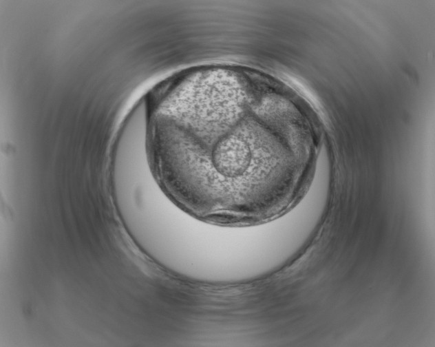 X0000090631332200708071238