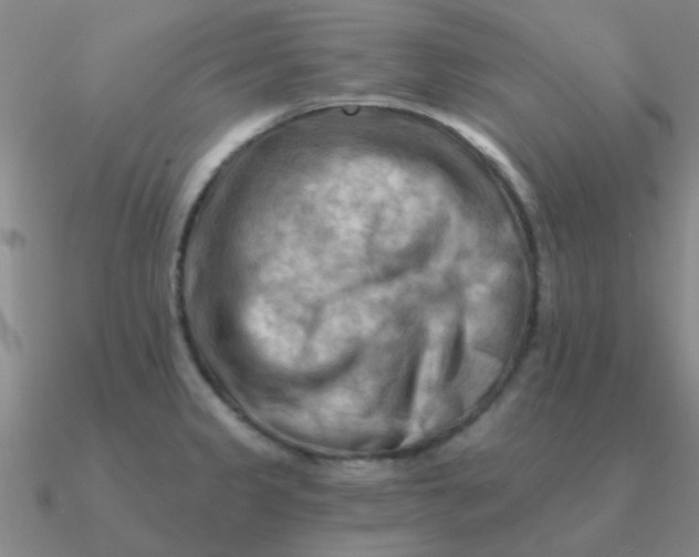 X0000090631333200708071238