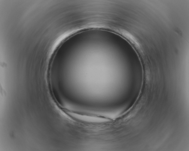 X0000090631334200708071238