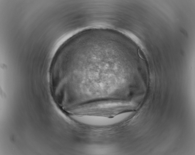 X0000090631335200708071238