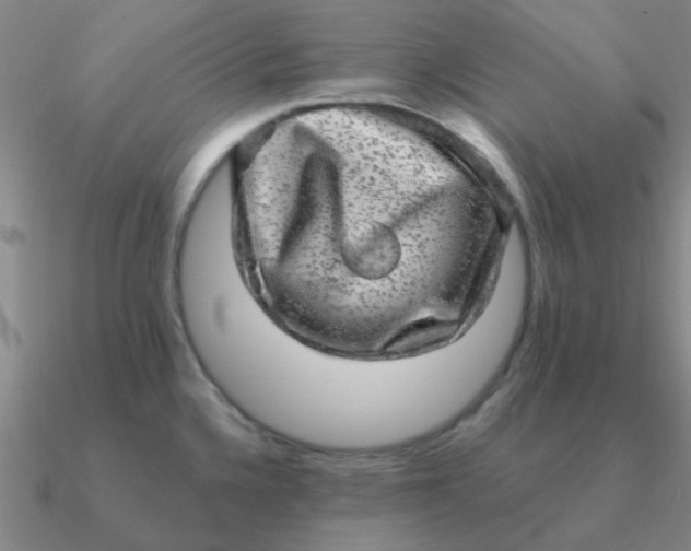 X0000090631336200708071238