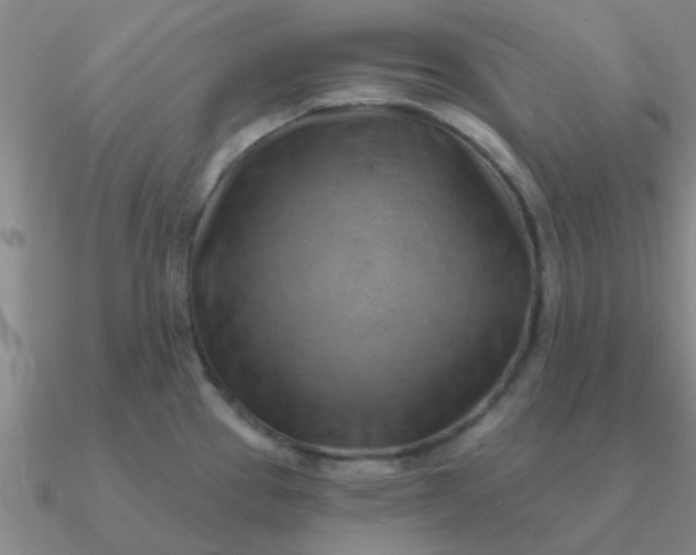 X0000090631337200708071238