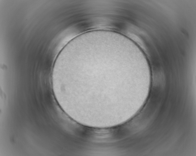 X0000090631338200708071238