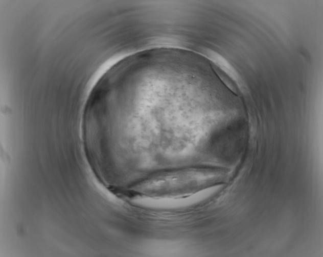 X0000090631339200708071238