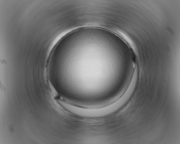 X0000090631340200708071238