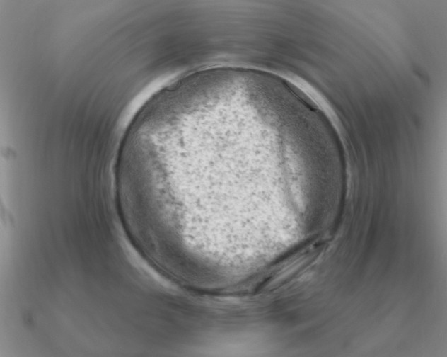 X0000090631341200708071238