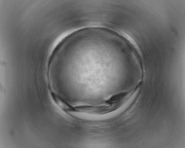 X0000090631342200708071238