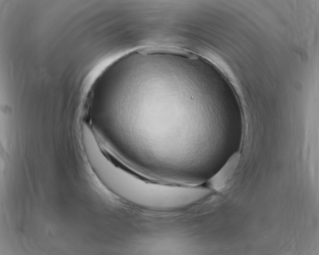 X0000090631344200708071238