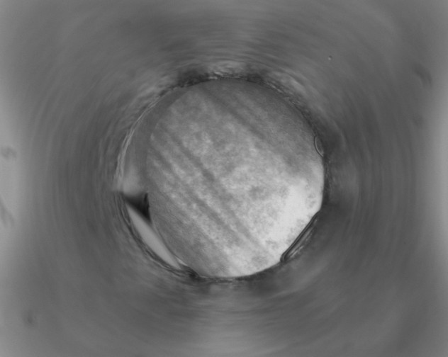 X0000090631345200708071237