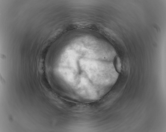 X0000090631346200708071237