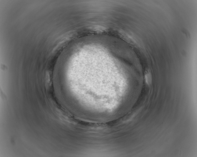 X0000090631347200708071237