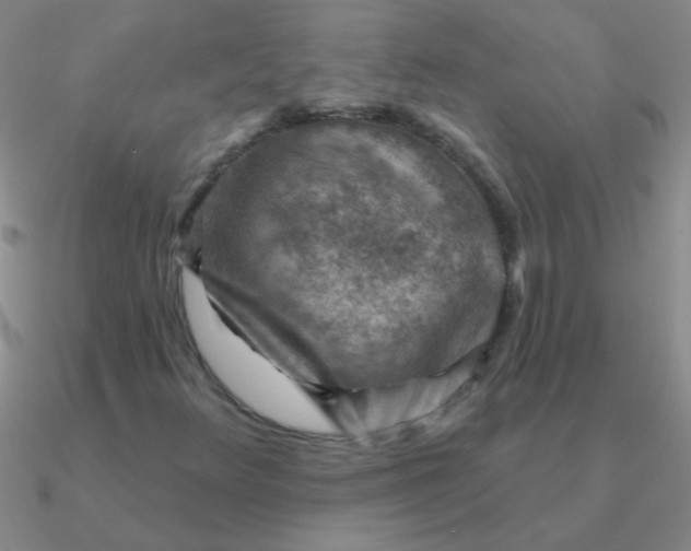 X0000090631348200708071237