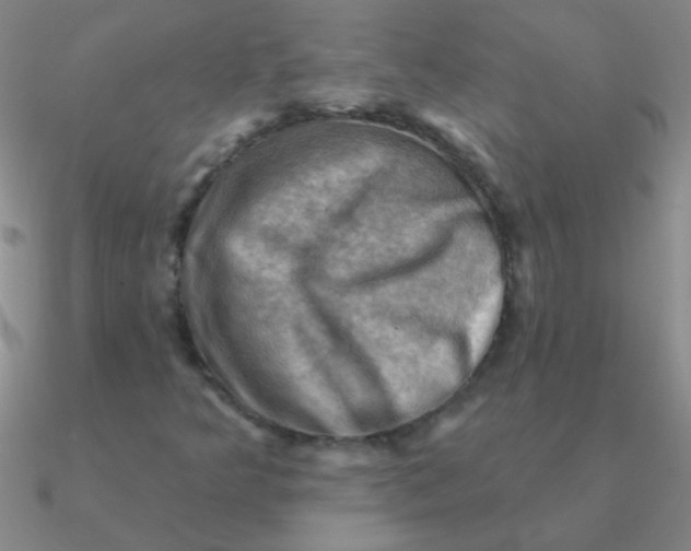 X0000090631349200708071237