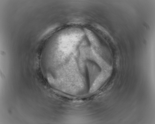 X0000090631350200708071237